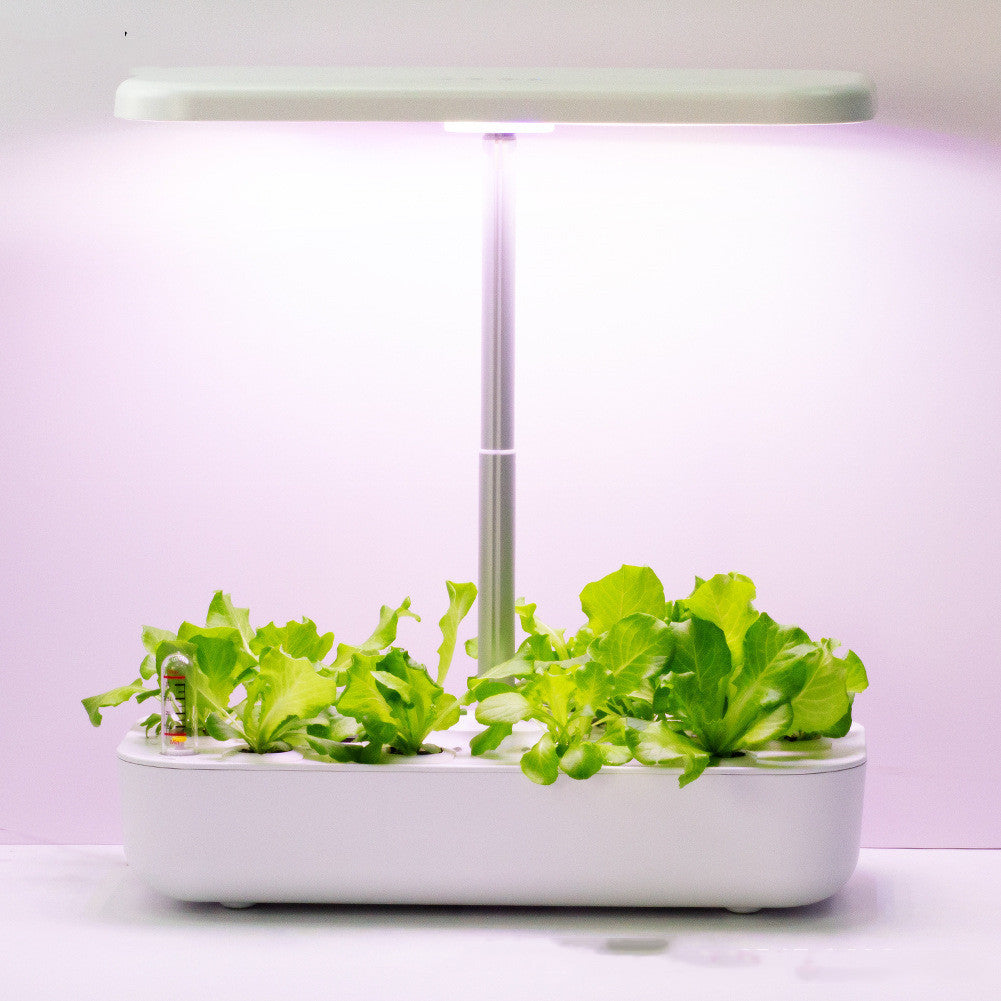 0Hydroponic Smart Plant PotFEATURES:


Hydroponic System: The smart plant pot utilizes a hydroponic system, which means that plants are grown in a nutrient-rich water solution instead of soil.Hydroponic Smart Plant Pot