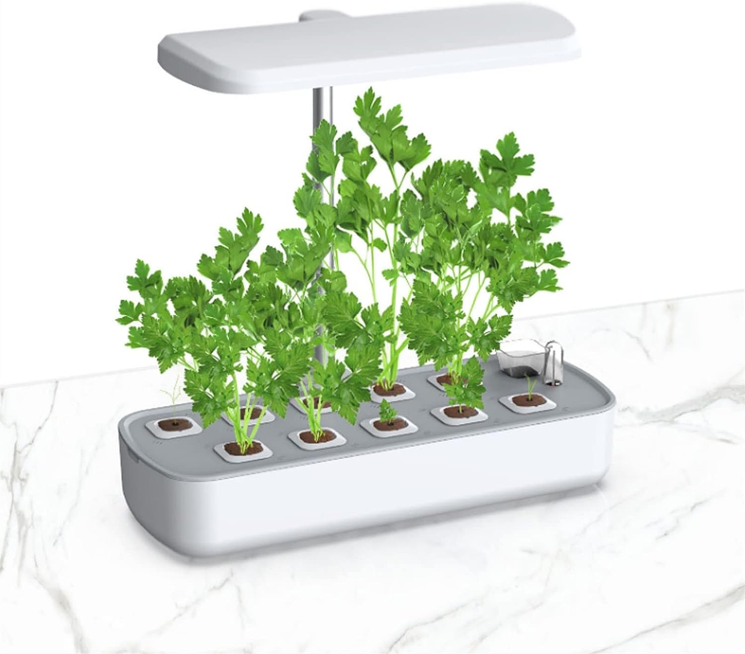 0Hydroponic Smart Plant PotFEATURES:


Hydroponic System: The smart plant pot utilizes a hydroponic system, which means that plants are grown in a nutrient-rich water solution instead of soil.Hydroponic Smart Plant Pot