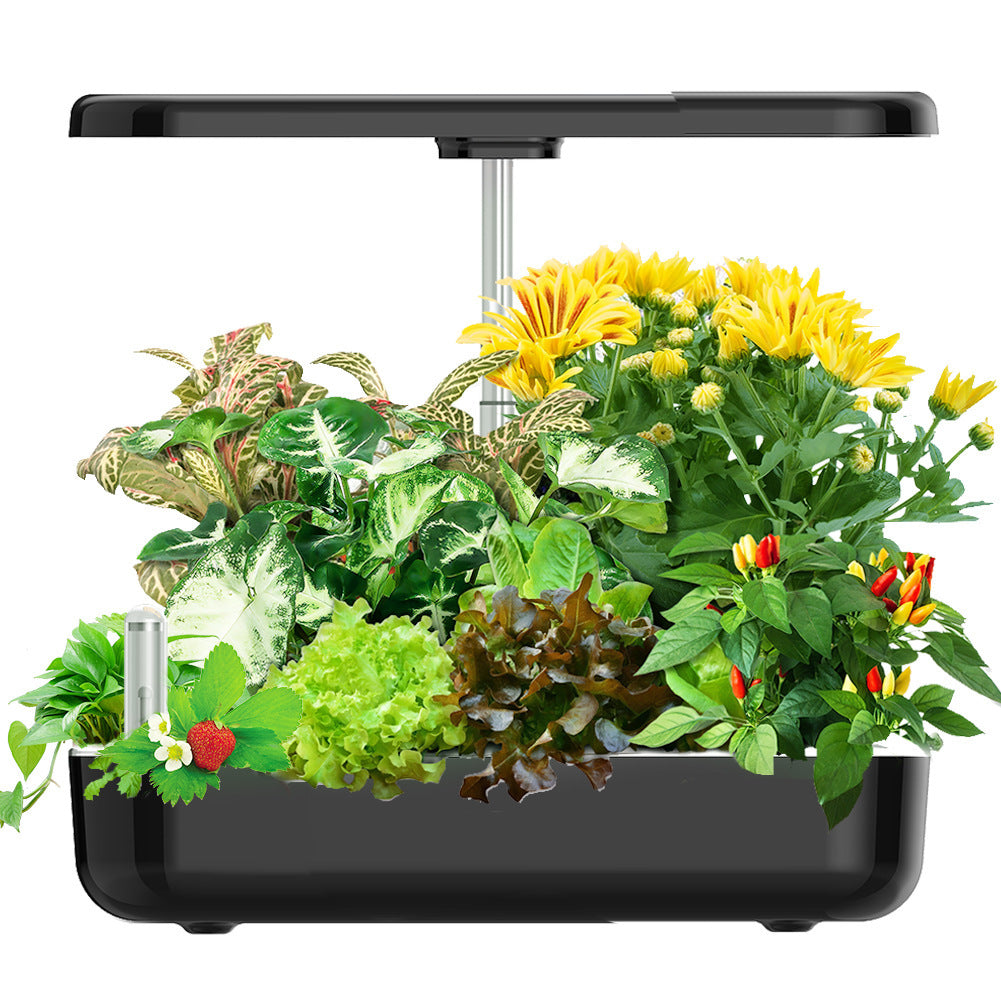 0Hydroponic Smart Plant PotFEATURES:


Hydroponic System: The smart plant pot utilizes a hydroponic system, which means that plants are grown in a nutrient-rich water solution instead of soil.Hydroponic Smart Plant Pot